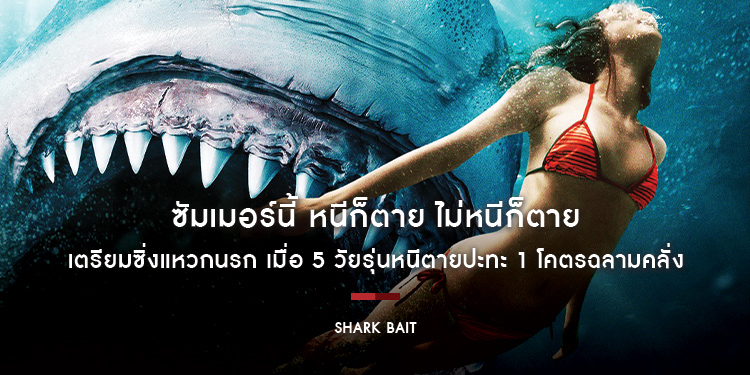 ซัมเมอร์นี้ หนีก็ตาย ไม่หนีก็ตาย เตรียมซิ่งแหวกนรก เมื่อ 5 วัยรุ่นหนีตายปะทะ 1 โคตรฉลามคลั่ง “Shark Bait”